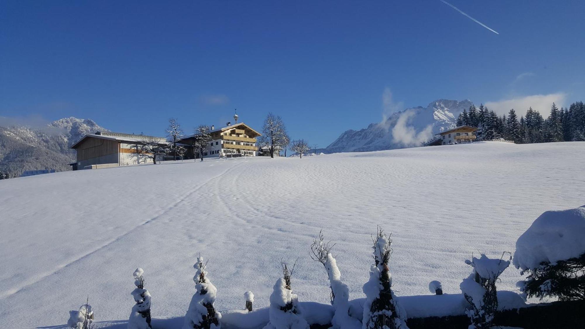 Appartement Seebacher Hochfilzen Exteriör bild