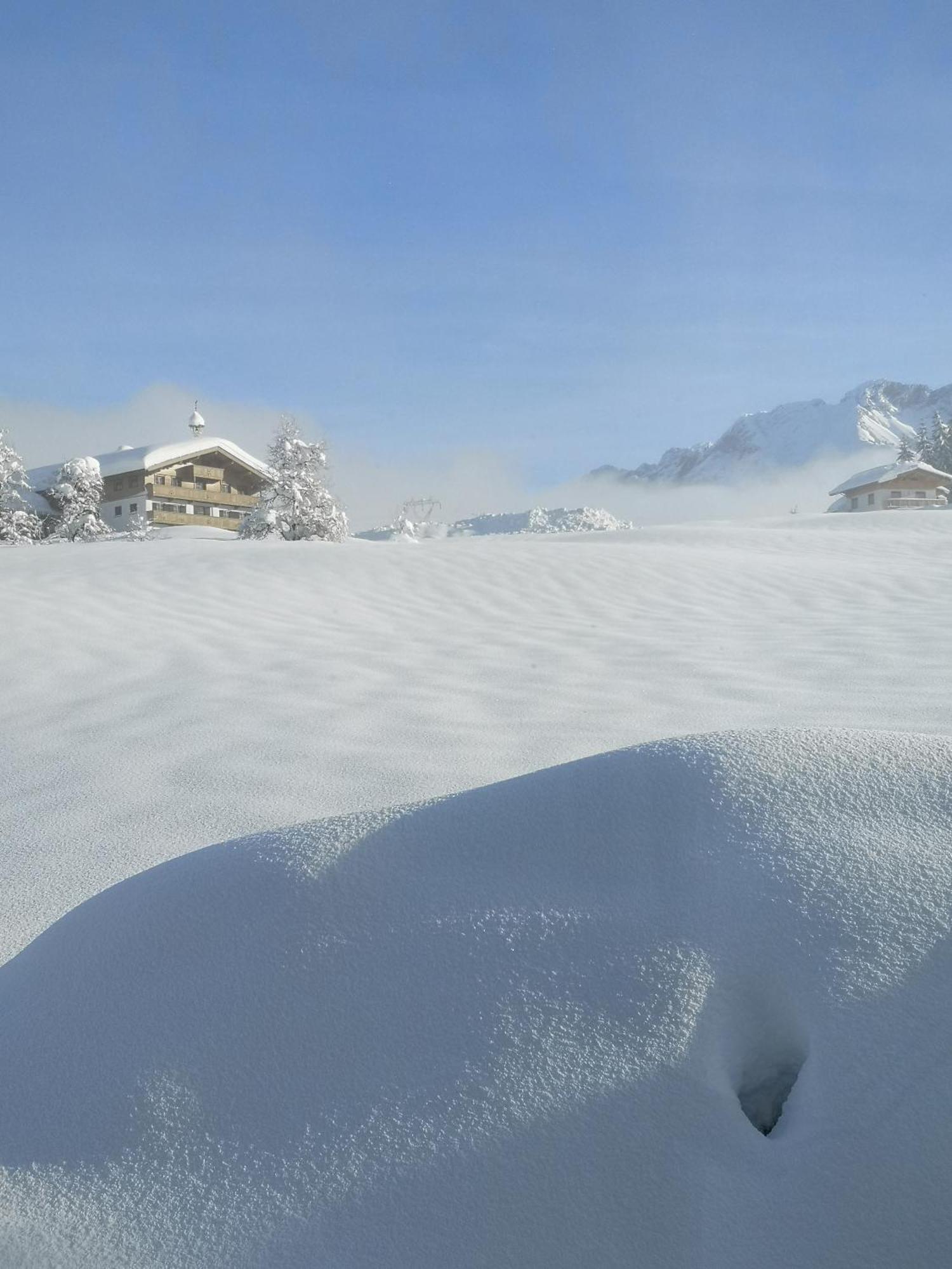 Appartement Seebacher Hochfilzen Exteriör bild
