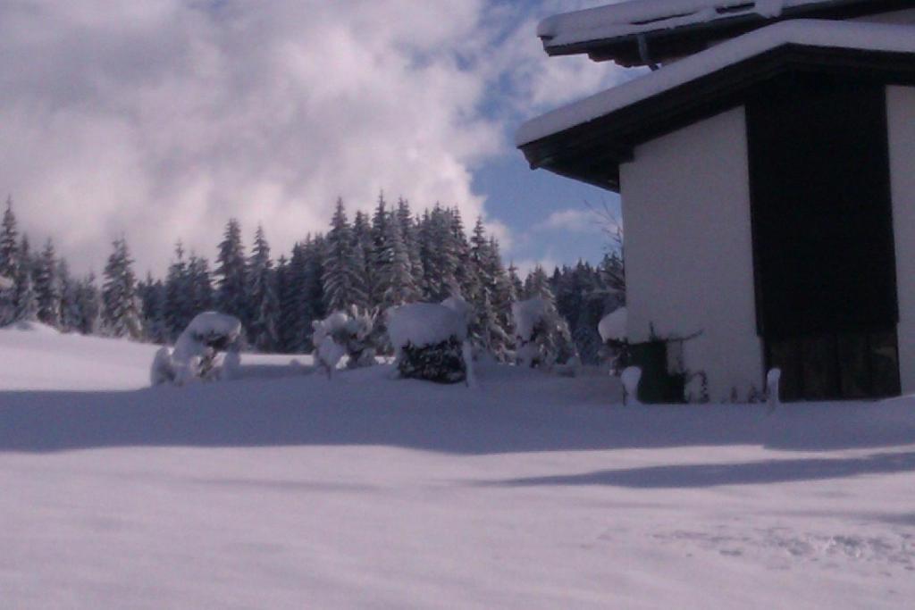 Appartement Seebacher Hochfilzen Exteriör bild